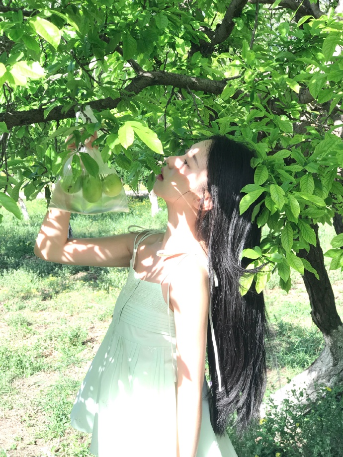 台积电董事长承认“完全迁出台[湾是不]可能的”