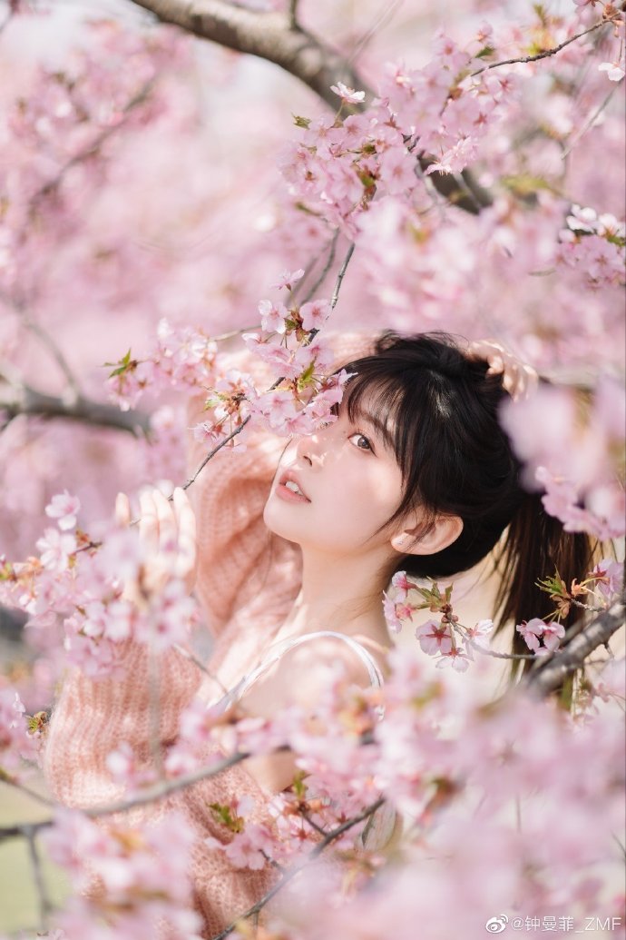 台飞行员“『(宁赔』3)00万也要走！”